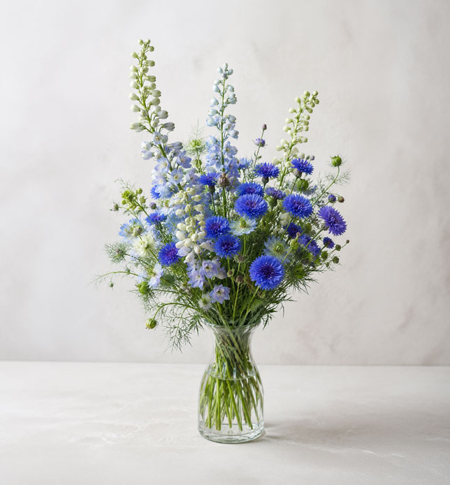 Blue Sens, image 4