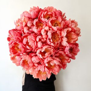 Les-pivoines-rose