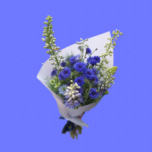 BlueSens