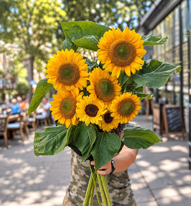 Ça me botte : la brassée de tournesols